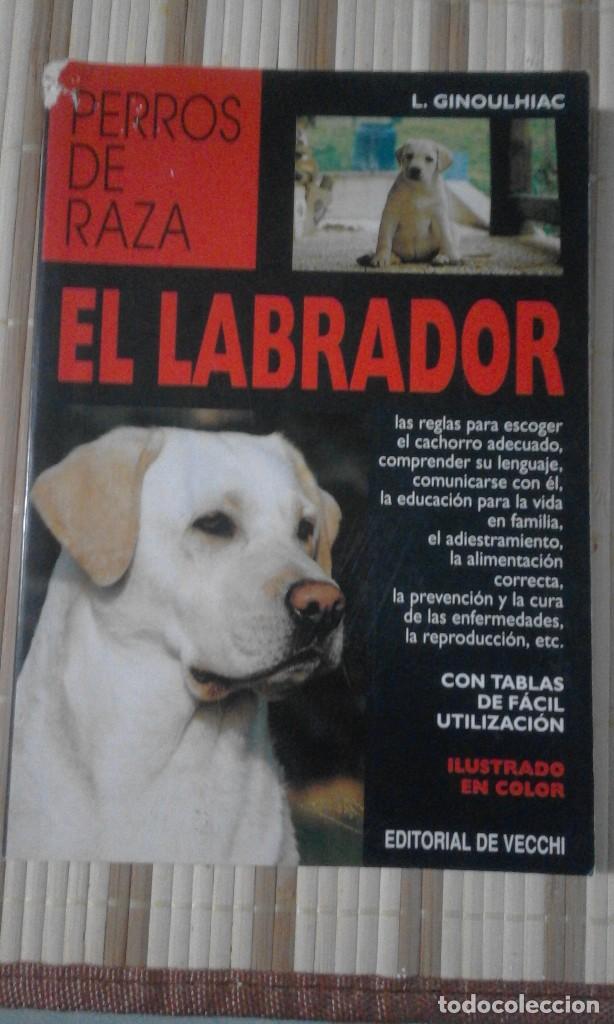 Libros de segunda mano: Perros de raza. El Labrador - L. Ginoulhiac - Foto 1