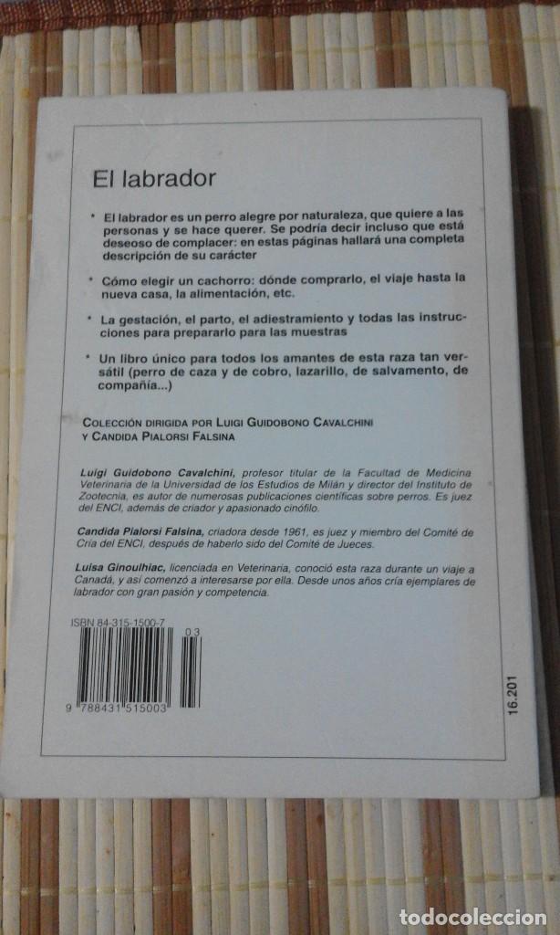 Libros de segunda mano: Perros de raza. El Labrador - L. Ginoulhiac - Foto 2