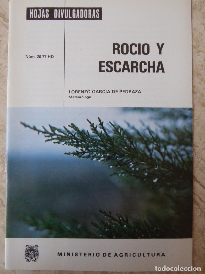 Libri di seconda mano: ROC&Iacute;O Y ESCARCHA. LORENZO GARC&Iacute;A DE PEDRAZA