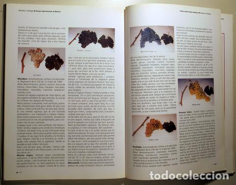 Libros de segunda mano: CAMPS EXPERIMENTALS DE BALEARS - Barcelona 1997 - Foto 2