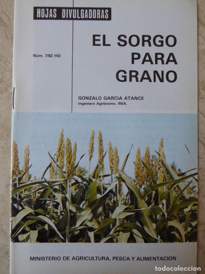 Second hand books: EL SORGO PARA GRANO. G. GARC&Iacute;A ATANCE