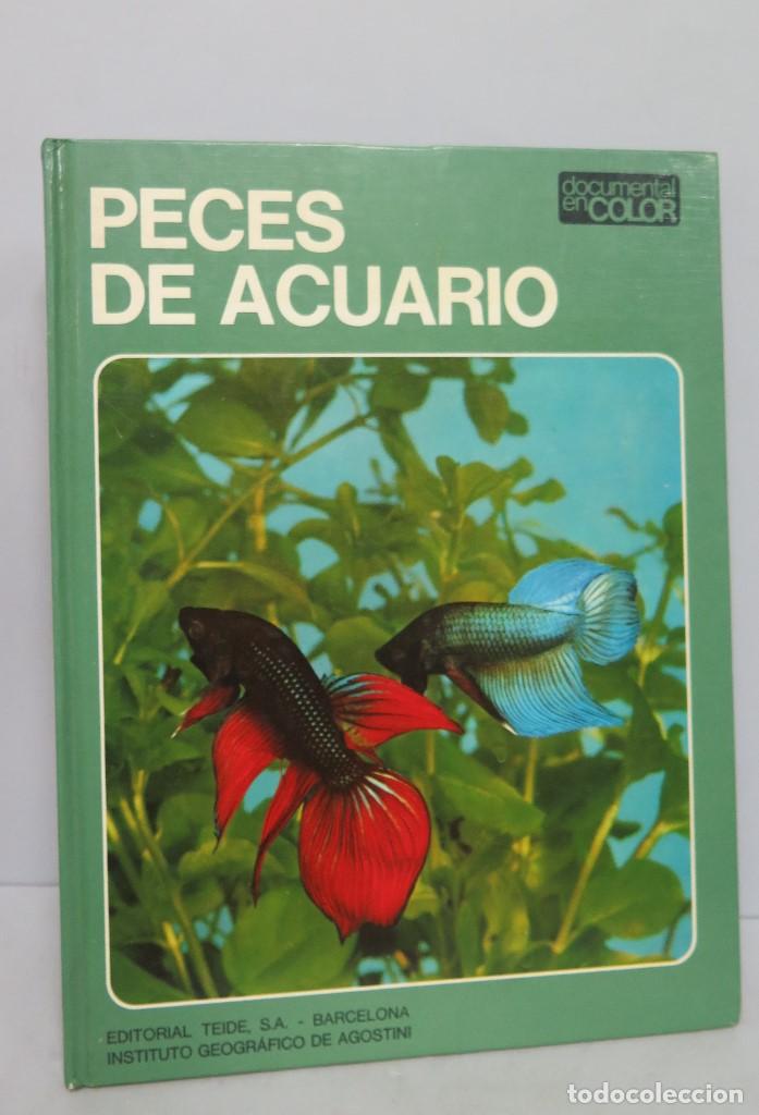 Libros de segunda mano: PECES DE ACUARIO. ILUSTRADO - Foto 1