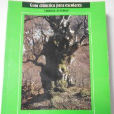 Libros de segunda mano: ARBOLES Y ARBUSTOS DE ASTURIAS. CONOCER ASTURIAS. GUIA DIDACTICA PARA ESCOLARES. PRINCIPADO DE ASTUR. Lote 68148266