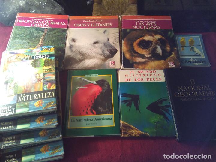 Libros de segunda mano: Libros animales 22&euro; todos - Foto 2