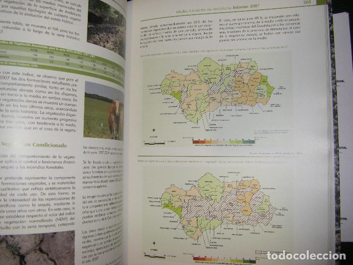 Libros de segunda mano: Medio Ambiente en Andaluc&iacute;a. Informe 2007 - Foto 18