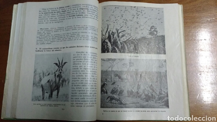 Libros de segunda mano: Libro Ciencias Naturales II. Curso de experimentaci&oacute;n. ECIR. Programa - Foto 3