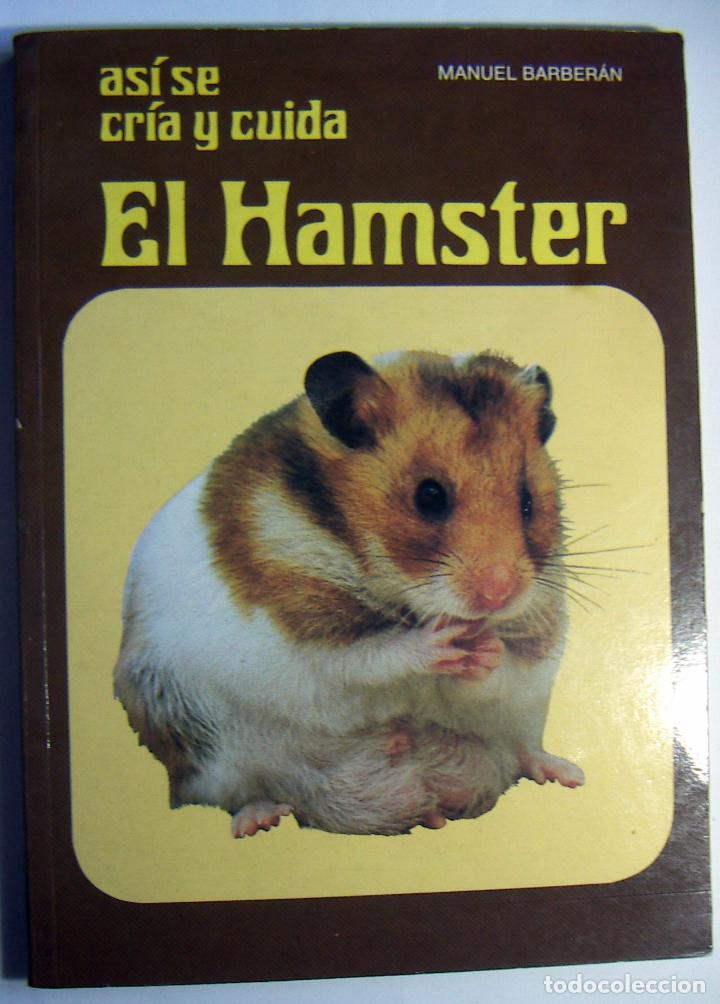 Libros de segunda mano: AS&Iacute; SE CR&Iacute;A Y CUIDA EL HAMSTER - MANUEL BARBER&Aacute;N - Foto 1