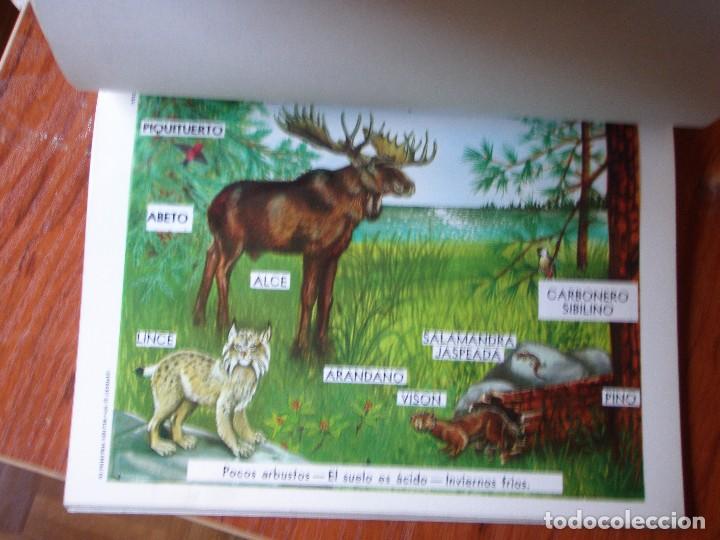 Libros de segunda mano: LIBRO ECOLOG&Iacute;A - Foto 2