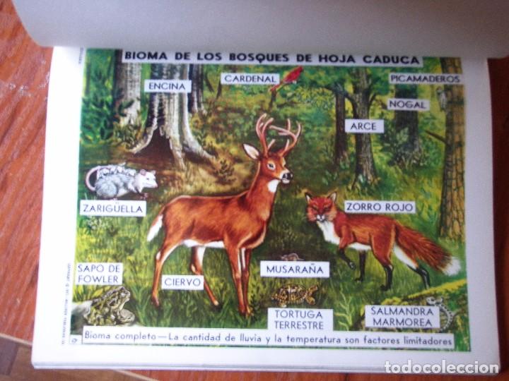 Libros de segunda mano: LIBRO ECOLOG&Iacute;A - Foto 3