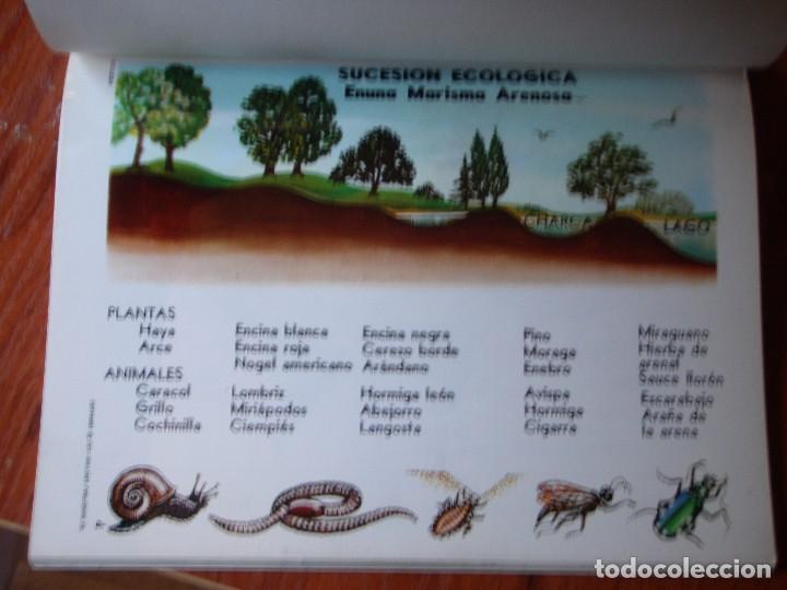 Libros de segunda mano: LIBRO ECOLOG&Iacute;A - Foto 4