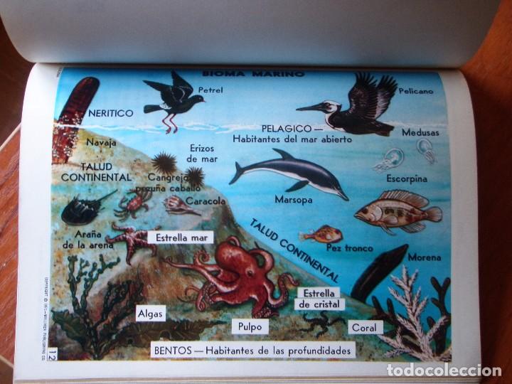 Libros de segunda mano: LIBRO ECOLOG&Iacute;A - Foto 8