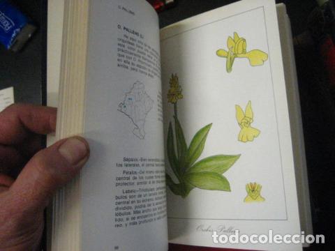 Libros de segunda mano: ORQUIDEAS DE NAVARRA, Jes&uacute;s Gonz&aacute;lez Artabe. COMO NUEVO - Foto 7