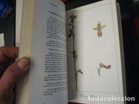 Libros de segunda mano: ORQUIDEAS DE NAVARRA, Jes&uacute;s Gonz&aacute;lez Artabe. COMO NUEVO - Foto 8