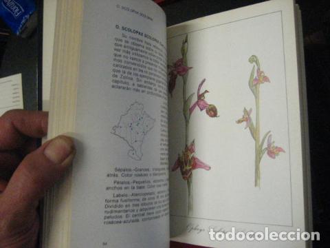 Libros de segunda mano: ORQUIDEAS DE NAVARRA, Jes&uacute;s Gonz&aacute;lez Artabe. COMO NUEVO - Foto 9