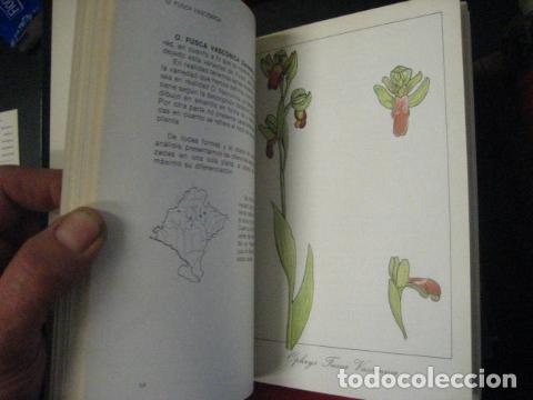 Libros de segunda mano: ORQUIDEAS DE NAVARRA, Jes&uacute;s Gonz&aacute;lez Artabe. COMO NUEVO - Foto 10