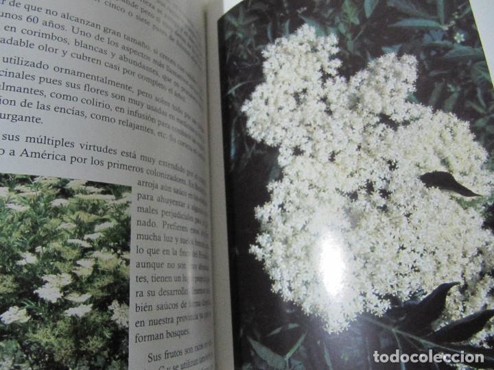 Libros de segunda mano: FAUNA Y FLORA EN NATURAVILA - Foto 5
