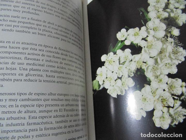 Libros de segunda mano: FAUNA Y FLORA EN NATURAVILA - Foto 7