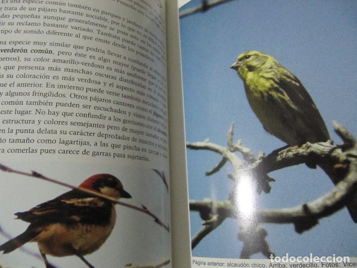 Libros de segunda mano: FAUNA Y FLORA EN NATURAVILA - Foto 8