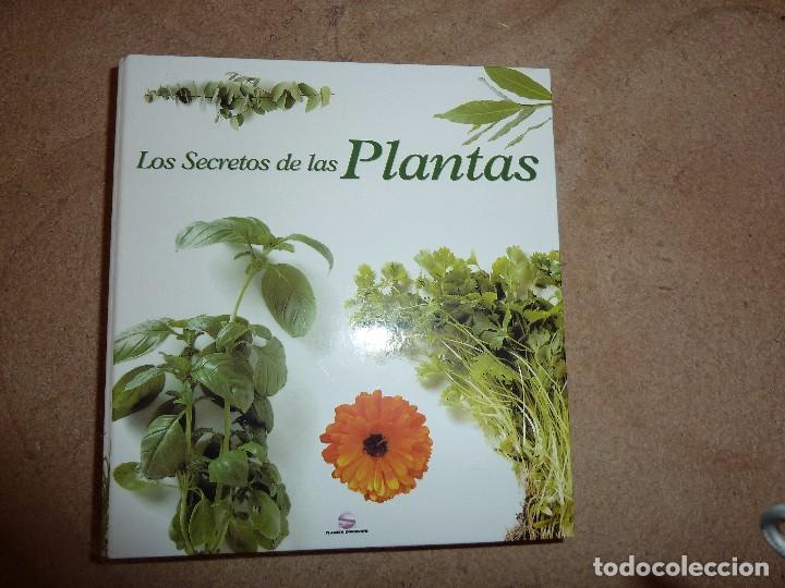 Los secretos de las plantas. edit.planeta agost - Vendido en Venta