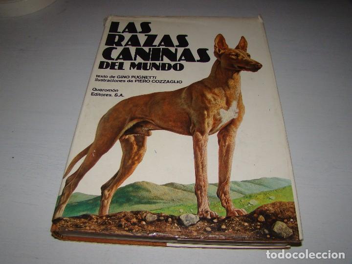 Libros de segunda mano: LAS RAZAS CANINAS DEL MUNDO - Foto 1