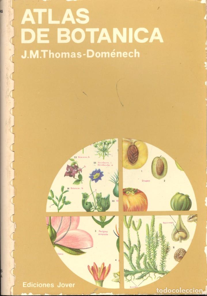 Libros de segunda mano: ATLAS DE BOT&Aacute;NICA - J.M. THOMAS-DOM&Eacute;NECH - Foto 1