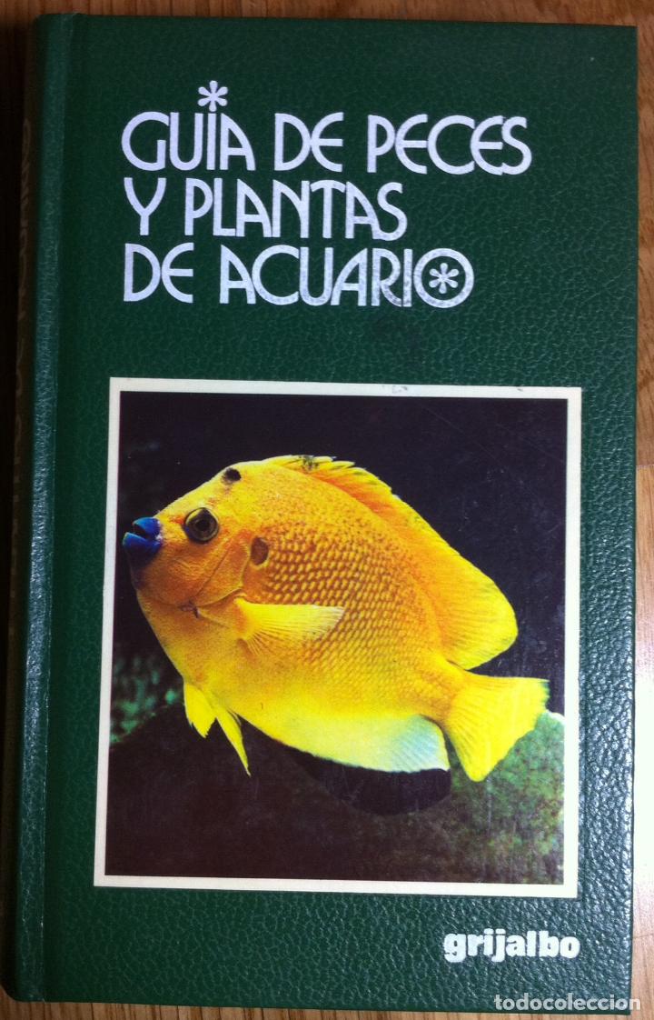 Libros de segunda mano: Gu&iacute;a de peces y plantas de acuario. 1991 - Foto 1