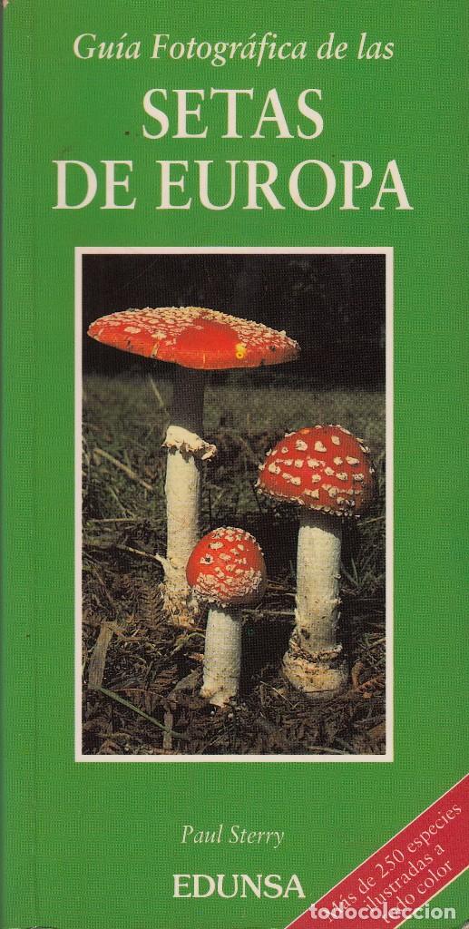 Libros de segunda mano: GU&Iacute;A FOTOGR&Aacute;FICA DE LAS SETAS DE EUROPA. PAUL STERRY