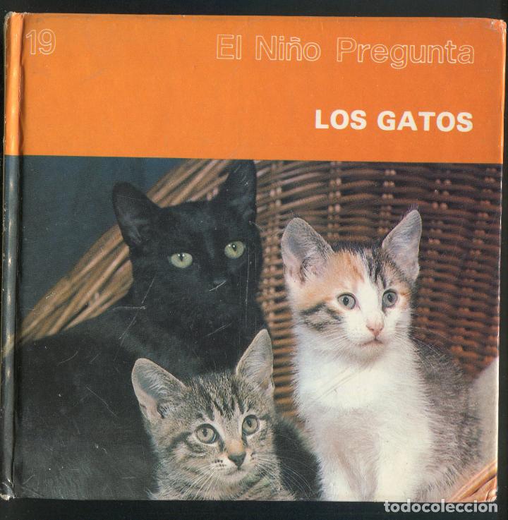 Libros de segunda mano: EL NI&Ntilde;O PREGUNTA LOS GATOS - Foto 1