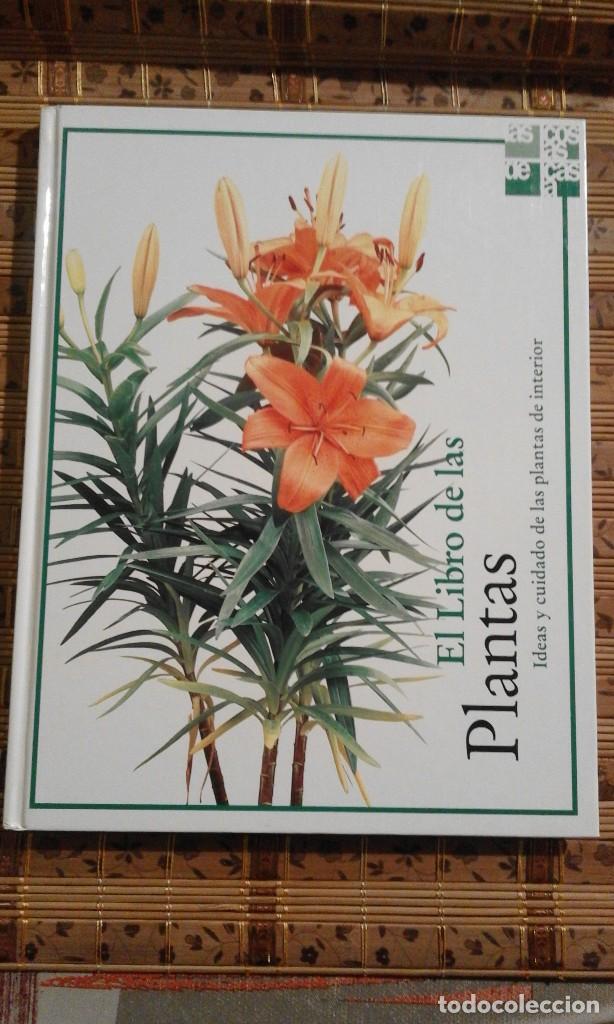 Libros de segunda mano: El libro de las Plantas. Ideas y cuidado de las plantas de interior - 1&ordf; edici&oacute;n 2000 - Foto 1
