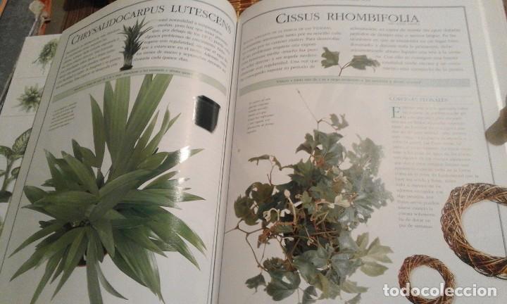 Libros de segunda mano: El libro de las Plantas. Ideas y cuidado de las plantas de interior - 1&ordf; edici&oacute;n 2000 - Foto 3