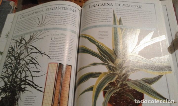 Libros de segunda mano: El libro de las Plantas. Ideas y cuidado de las plantas de interior - 1&ordf; edici&oacute;n 2000 - Foto 4