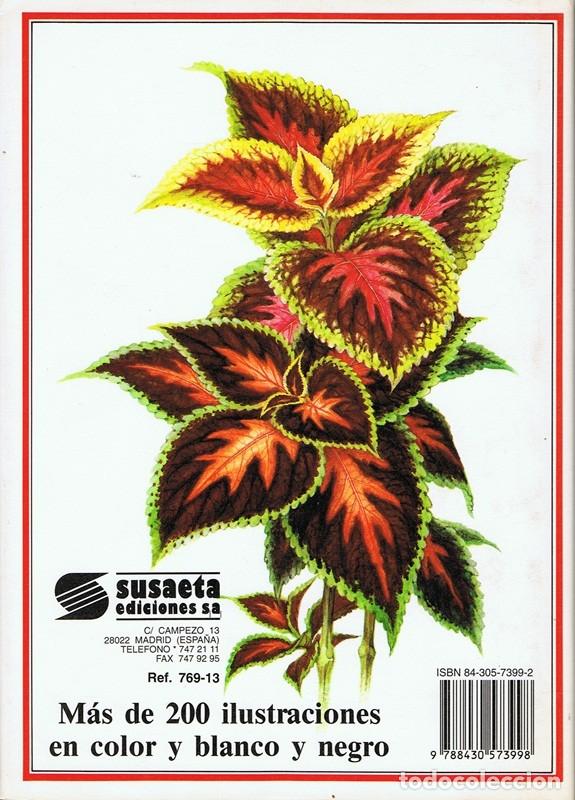 Libros de segunda mano: PLANTAS DE INTERIOR - Foto 2