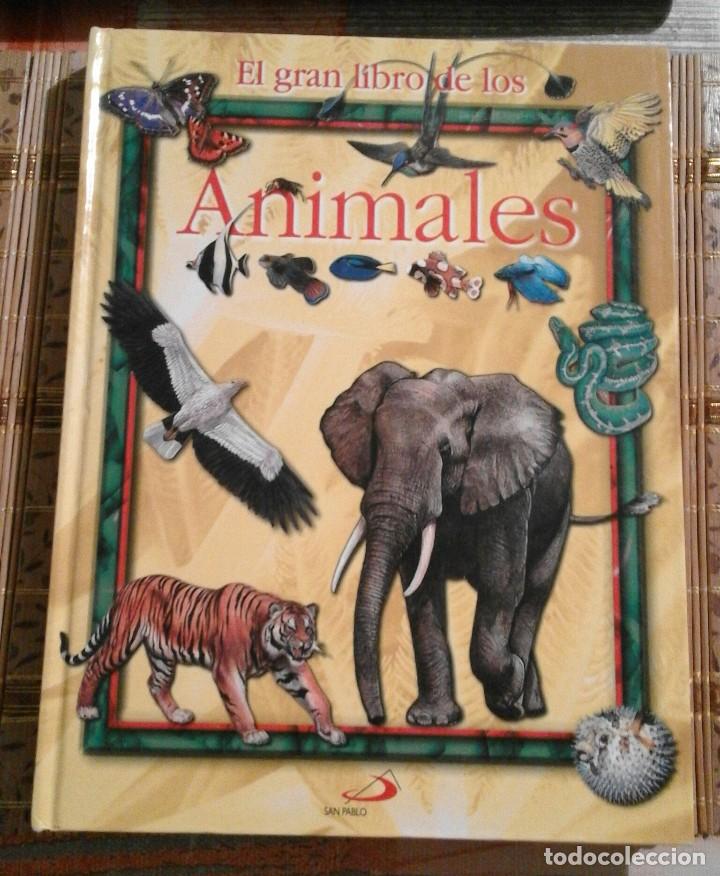 Libros de segunda mano: El gran libro de los Animales - Foto 1