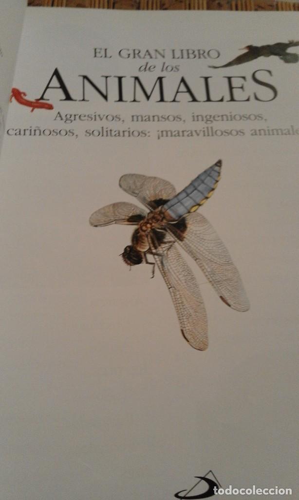 Libros de segunda mano: El gran libro de los Animales - Foto 3