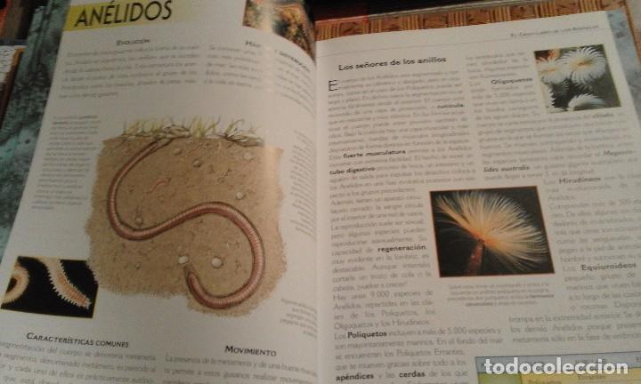 Libros de segunda mano: El gran libro de los Animales - Foto 4