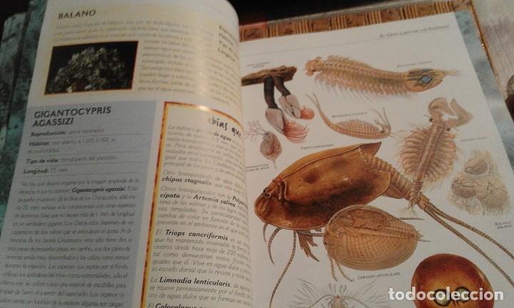 Libros de segunda mano: El gran libro de los Animales - Foto 5