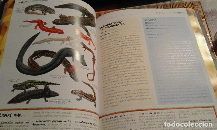 Libros de segunda mano: El gran libro de los Animales - Foto 6