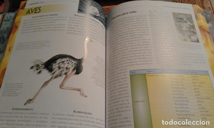 Libros de segunda mano: El gran libro de los Animales - Foto 7