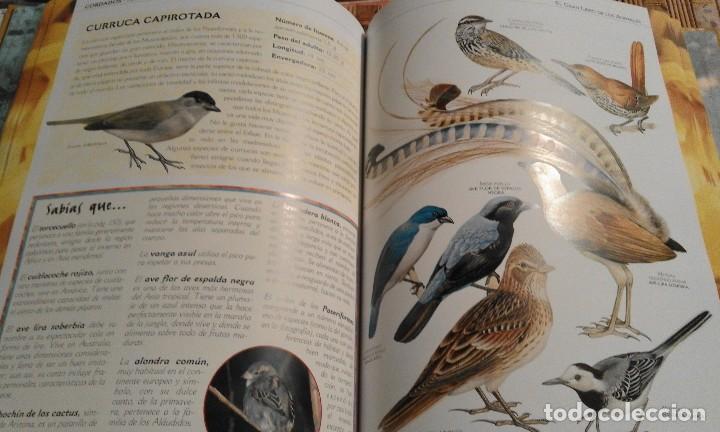 Libros de segunda mano: El gran libro de los Animales - Foto 8