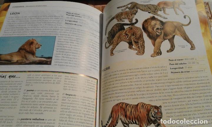 Libros de segunda mano: El gran libro de los Animales - Foto 9