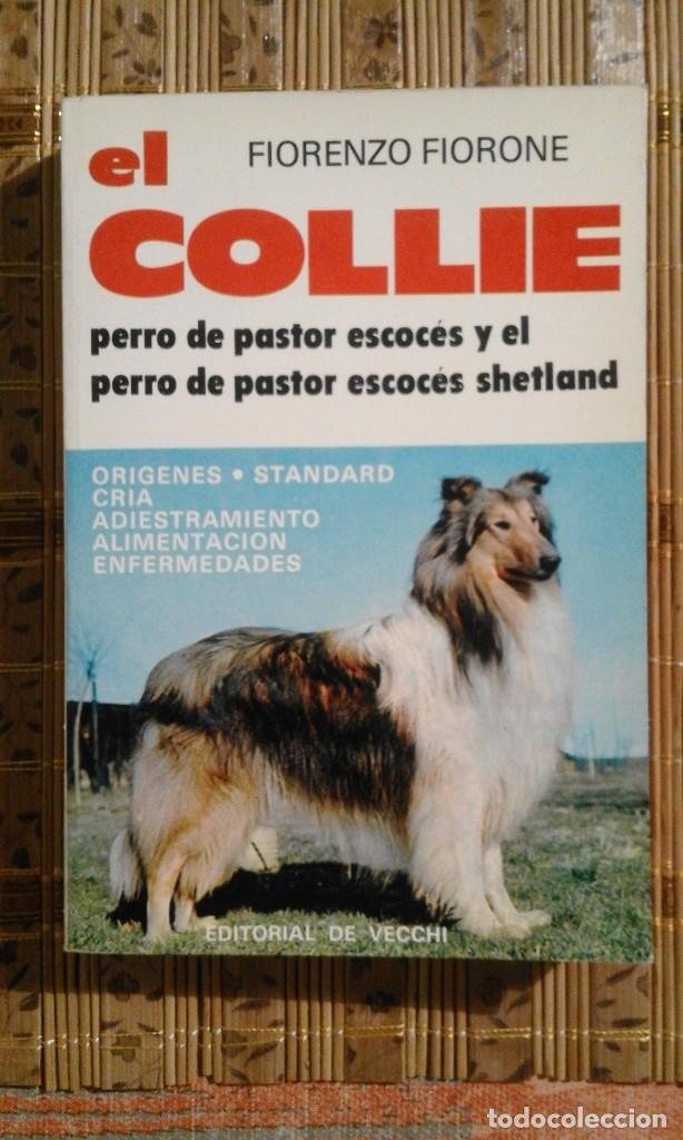 Libros de segunda mano: El Collie - Fiorenzo Fiorone - 1977 - Foto 1