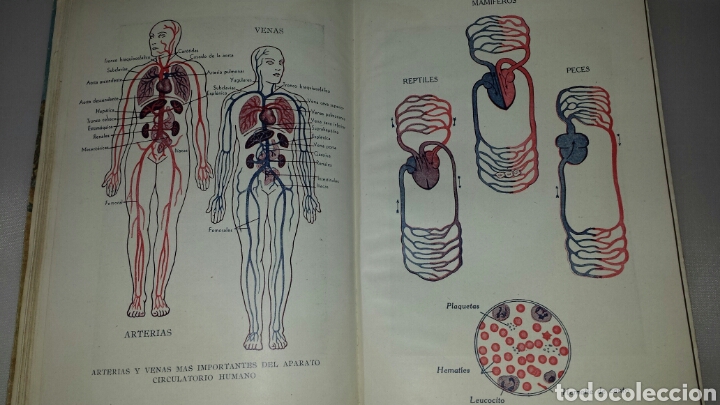 Libros de segunda mano: . CIENCIAS COSMOLOGICAS. E. NAGORE Y E.L. MEZQUIDA. TERCER CURSO. PLAN ESTUDIOS 1938 - Foto 6
