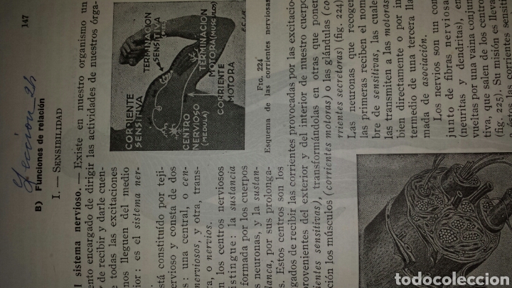 Libros de segunda mano: . CIENCIAS COSMOLOGICAS. E. NAGORE Y E.L. MEZQUIDA. TERCER CURSO. PLAN ESTUDIOS 1938 - Foto 7