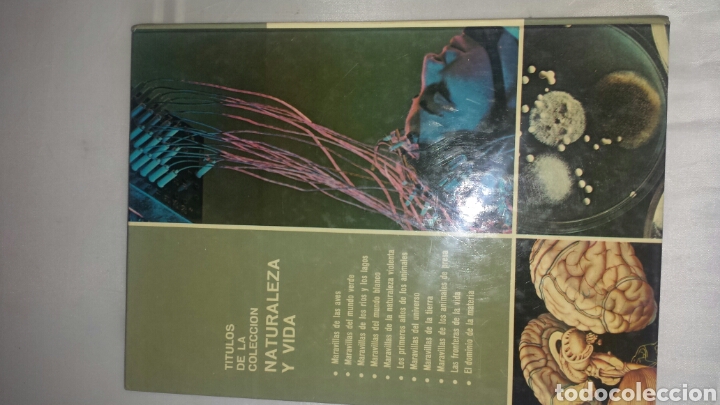 Libros de segunda mano: LAS FRONTERAS DE LA VIDA. MAS-IVARS EDITORES, 1976. - Foto 3