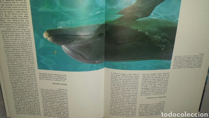 Libros de segunda mano: LAS FRONTERAS DE LA VIDA. MAS-IVARS EDITORES, 1976. - Foto 5