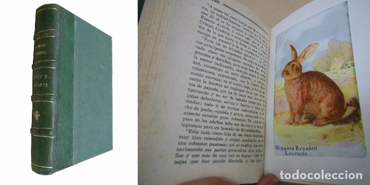 Libros de segunda mano: CONEJOS Y CONEJARES - Foto 1