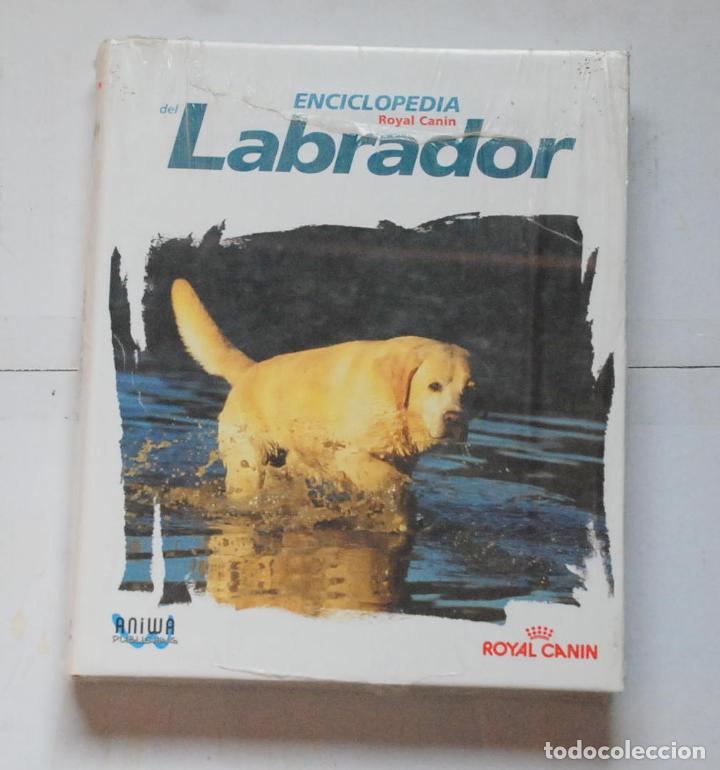 Libros de segunda mano: Enciclopedia del labrador. Ed. Aniwa - Royal Canin. PRECINTADA - Foto 1
