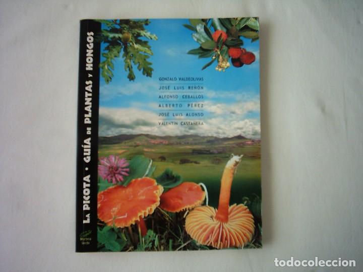 Libros de segunda mano: VV.AA. LA PICOTA (MORTERA, CANTABRIA) GU&Iacute;A DE PLANTAS Y HONGOS. 2001. PRIMERA EDICI&Oacute;N. ILUSTRADO.