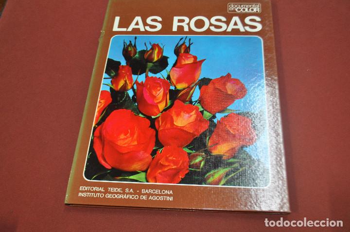 Libros de segunda mano: Las rosas , editorial teide - DOCUMENTAL EN COLOR - Foto 1