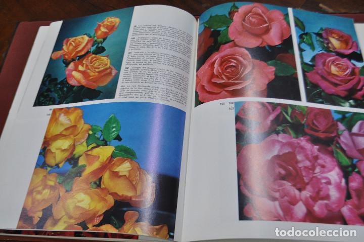 Libros de segunda mano: Las rosas , editorial teide - DOCUMENTAL EN COLOR - Foto 2